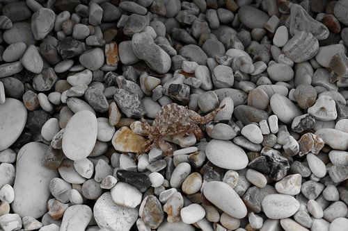 Colorsplash op strand van Corfu
