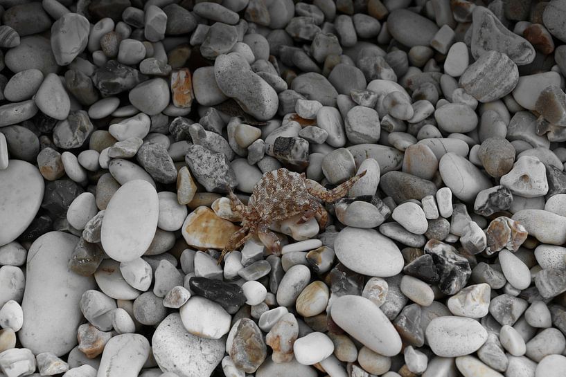 Colorsplash at the beach by jono broers