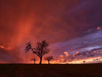 After the rain by Max Schiefele
