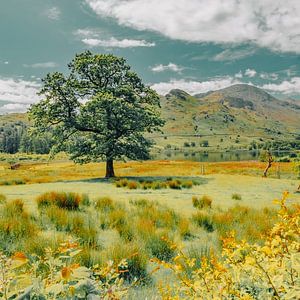 Buttermere, Lake District Angleterre.