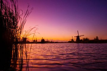 Windmühlen in Kinderdijk bei Sonnenuntergang von Jeroen Stel