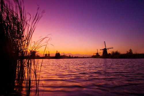 Moulins à vent à Kinderdijk au coucher du soleil