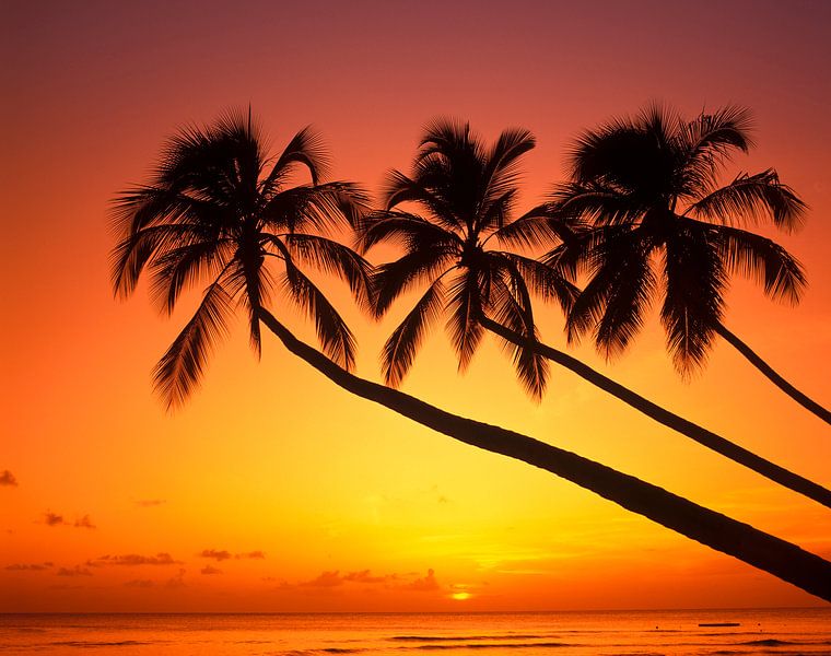 Sonnenuntergang am Palmenstrand van Hans-Peter Merten