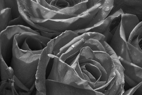 Droom zacht en laat je verassen