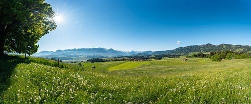 Lente op de Wittelsbacher Höhe tussen Fischen en Ofterschwang in de Allgäu met een prachtig uitzicht op de besneeuwde Allgäuer Alpen
