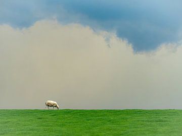 als je alleen bent op de wereld van MvdP fotografie
