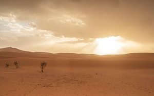 Zonlicht Sahara woestijn (Erg Chegaga -  Marokko) van Marcel Kerdijk