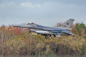 Royal Air Force F-16 Fighting Falcon (J-021).