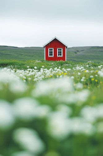 Rood huis in het bloeiende veld