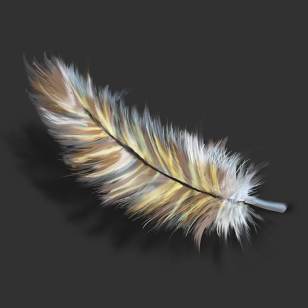 Quadratisches Format - digitales Kunstwerk Feder in gelber, weißer und brauner Farbe von Emiel de Lange