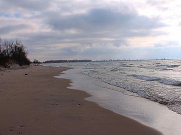 Bewolkte winterse dag op het strand in Wolfe Island, Ontario, Canada van Monrey