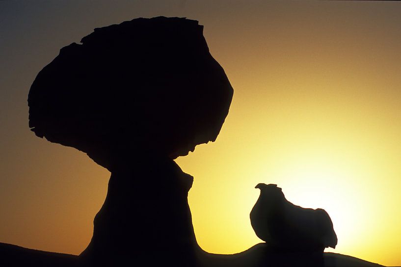 the cock of the walk in the white desert by Stefan Havadi-Nagy