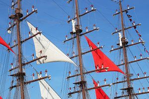 Schiffsmast Tallship Sail