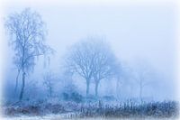 Een mistige morgen in de winter