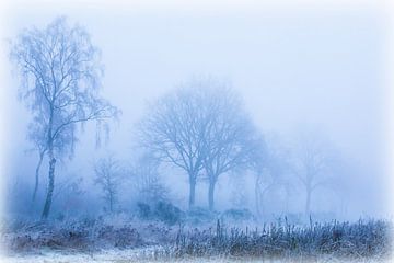 Een mistige morgen in de winter van Marion Peeten