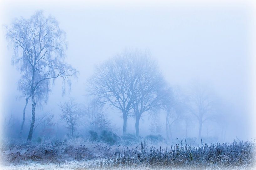 Een mistige morgen in de winter van Marion Peeten