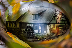 Swabia : The experiment