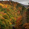Pass von Killiecrankie Herbstfarbe mit grüner Brücke über den Fluss von Arch White