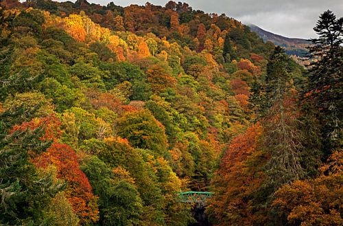 Pass of Killiecrankie autumn colour with green bridge over River