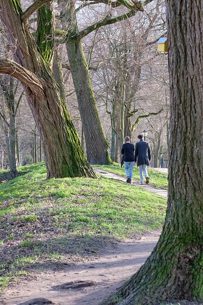 Chemin du pendule Catherijnesingel Utrecht par Coen Koppen