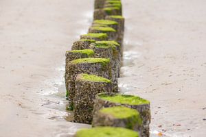 groene golfbreker van Tania Perneel