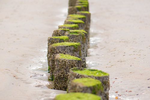 green breakwater