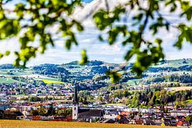 View of Ottensheim by Hermann Kollinger