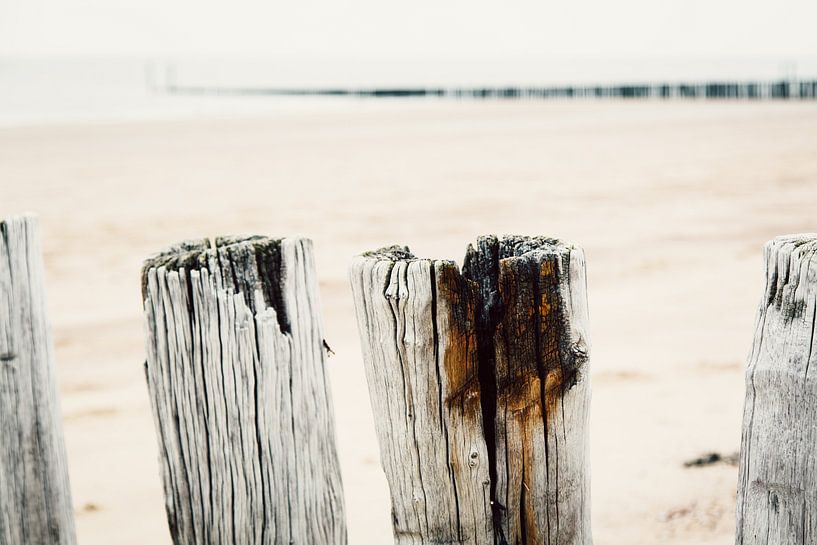 Rij palen met paalhoofd op achtergrond by Ria Peene