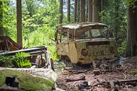 In to the woods van Oscar Beins thumbnail
