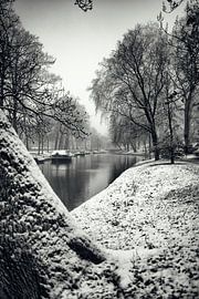 The Wijde Doelen from Zocherpark