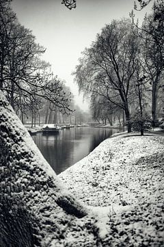 The Wijde Doelen from Zocherpark