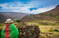 Peruanische Frau schaut über das Tal von Rietje Bulthuis Miniaturansicht