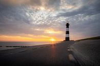 Atmospheric sunrise lighthouse Nieuwe Sluis, Breskens by Thom Brouwer thumbnail