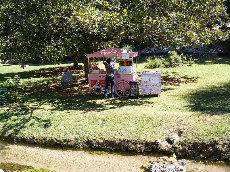 La vie en rose van Mirjam van Ginkel