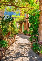 Mediterrane tuin met weg naar stenen huis