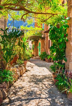 Mediterranean garden with way to stone house by Alex Winter