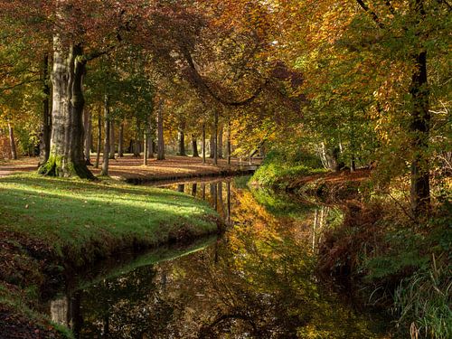 Vijver met bomen in de herfst met prachtige kleuren