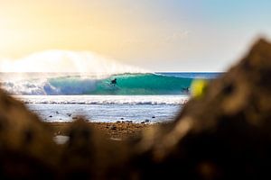 Surfen in het paradijs van Danny Bastiaanse