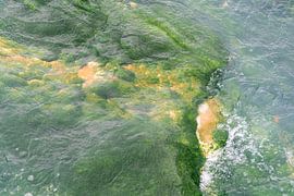 Yellowstone National Park by Studio Retouched fotoshop