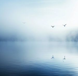 Ästhetischer Minimalismus