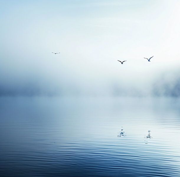 Ästhetischer Minimalismus von fernlichtsicht