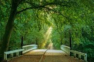 Brücke zur Glückseligkeit von Lars van de Goor Miniaturansicht