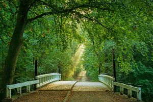 Brücke zur Glückseligkeit