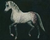 Pferd tritt von Jan Keteleer Miniaturansicht