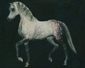 Pferd tritt