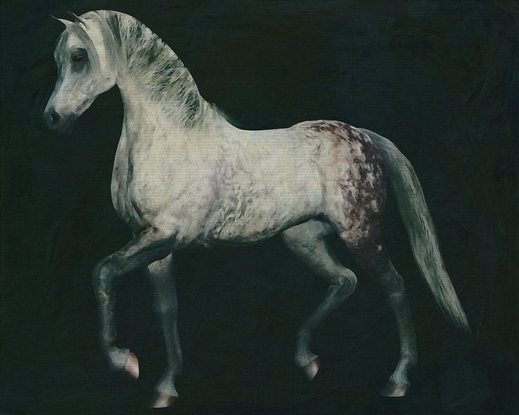 Pferd tritt von Jan Keteleer