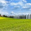 Frühling im Val d'Orcia von Dirk Rüter
