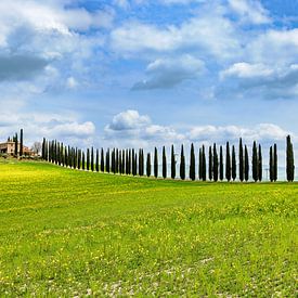 Le printemps dans le Val d'Orcia sur Dirk Rüter