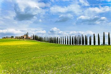 Le printemps dans le Val d'Orcia sur Dirk Rüter