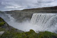 IJsland - Groen mos bij majestueuze detifoss waterval met kloof van adventure-photos thumbnail